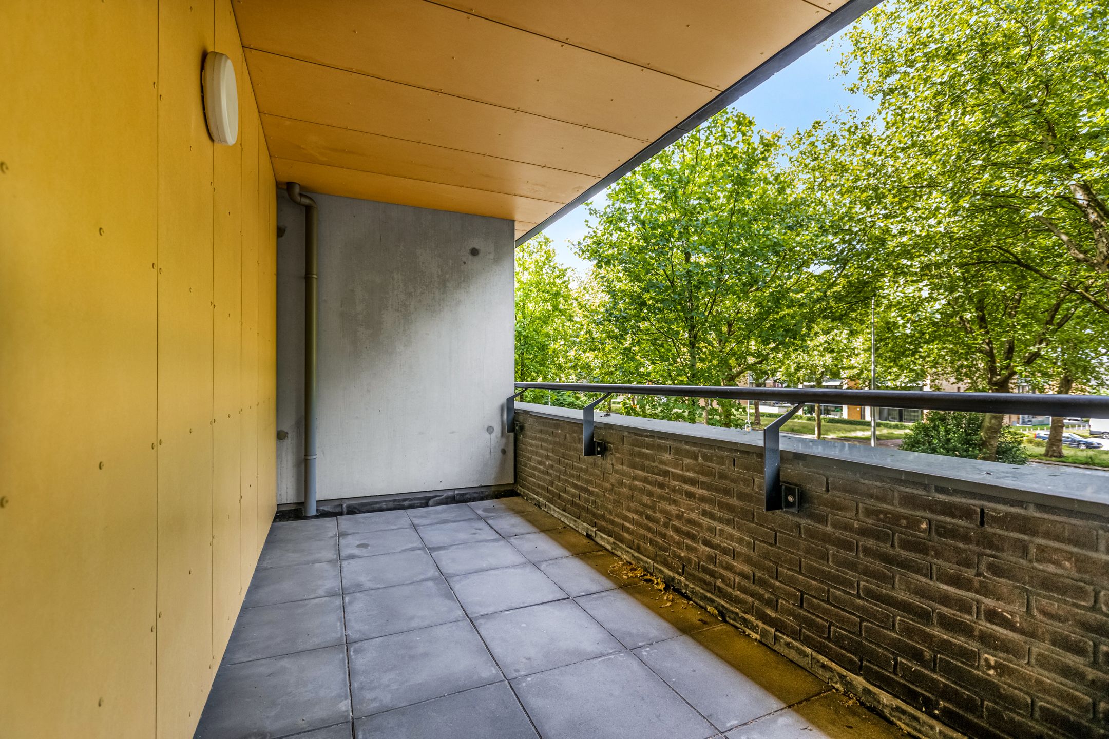 Photo 21 of Wadestein 38