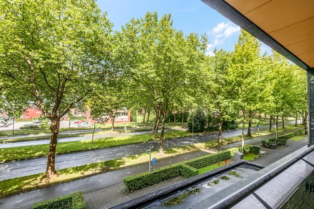 Photo 23 of Wadestein 38