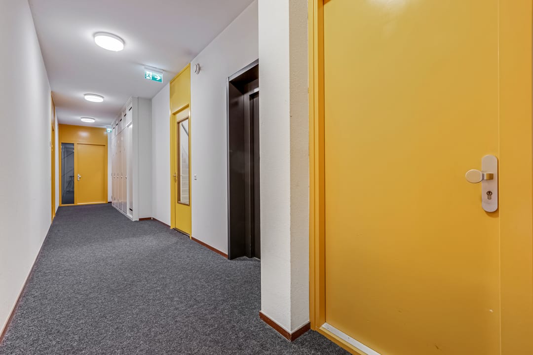 Photo 28 of Wadestein 38