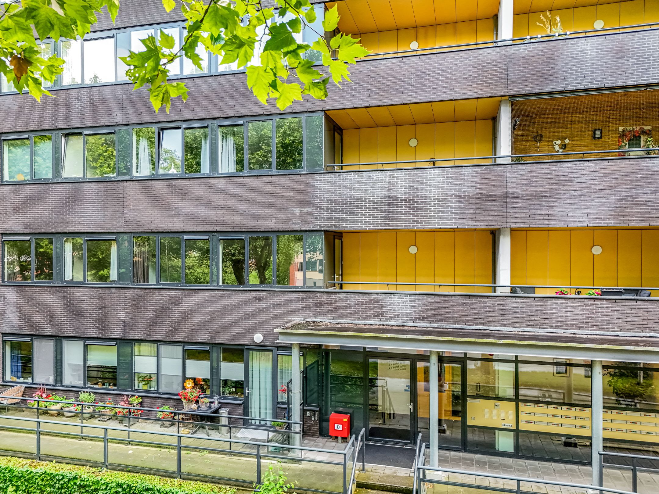 Photo 33 of Wadestein 38