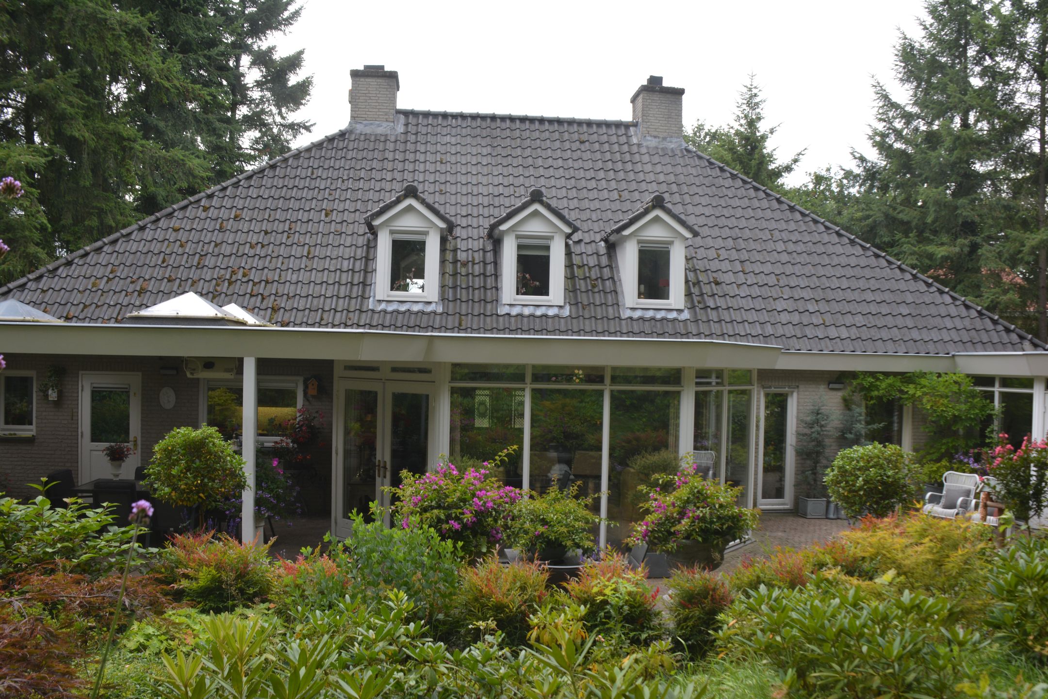 Photo 6 of Patersweg 9