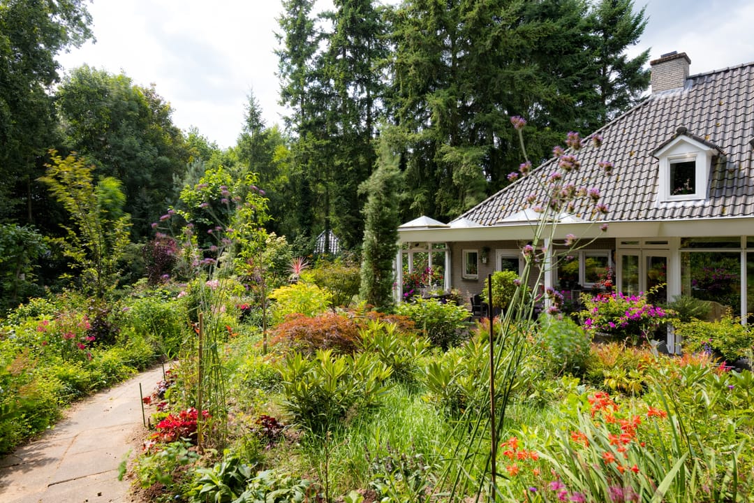 Photo 31 of Patersweg 9