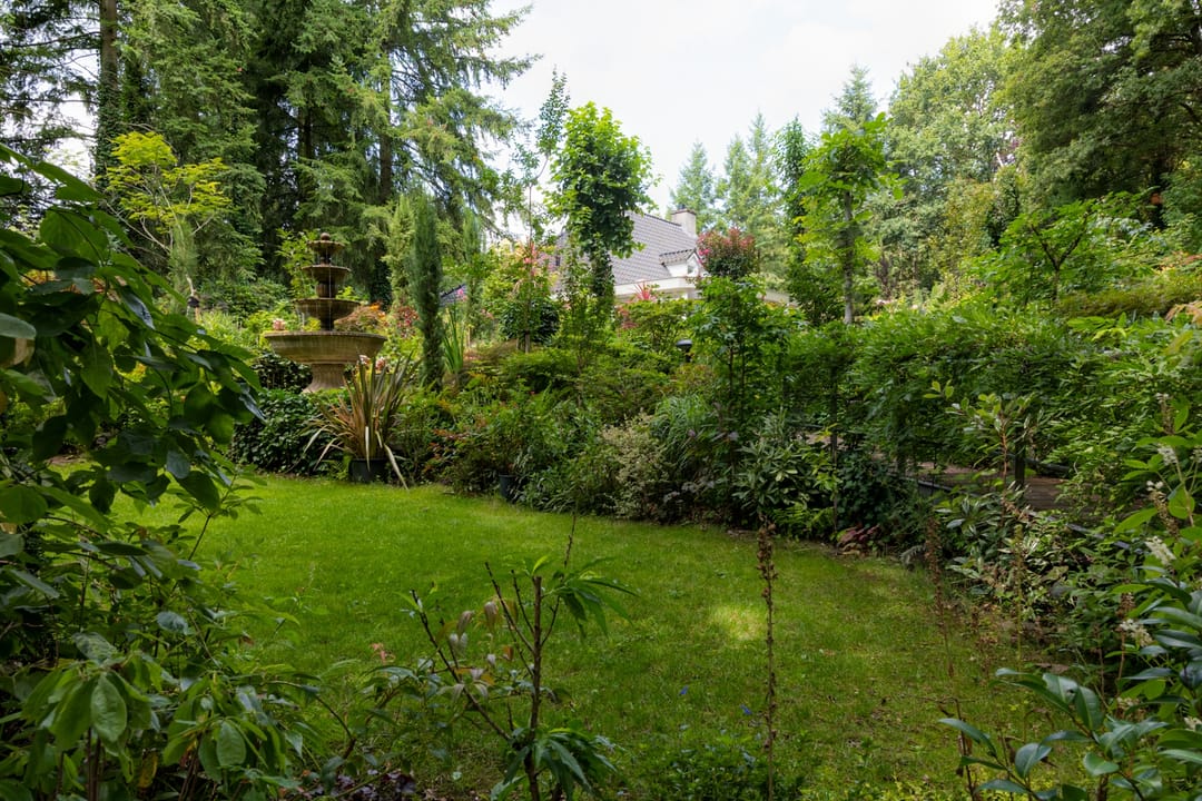 Photo 32 of Patersweg 9