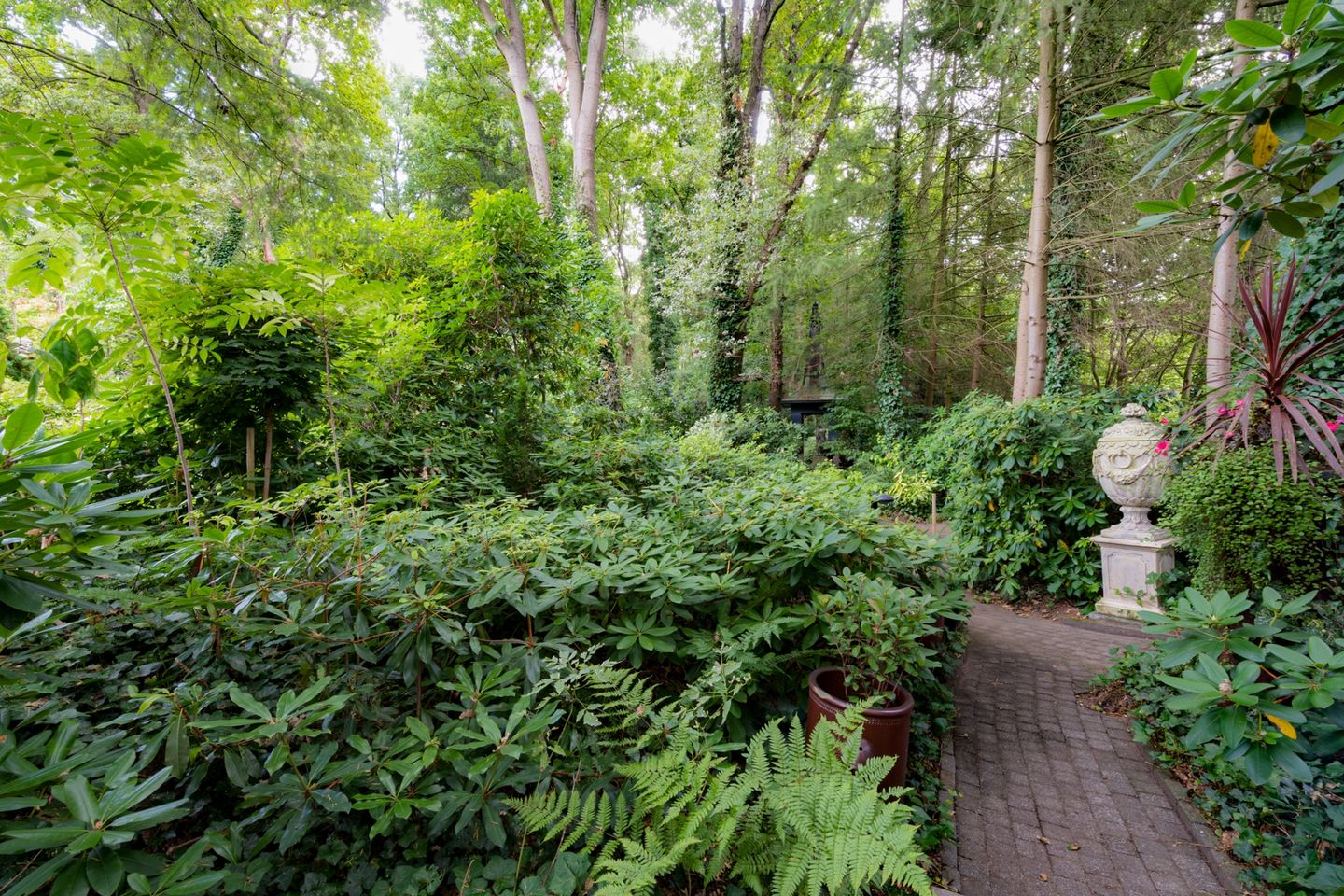 Photo 34 of Patersweg 9