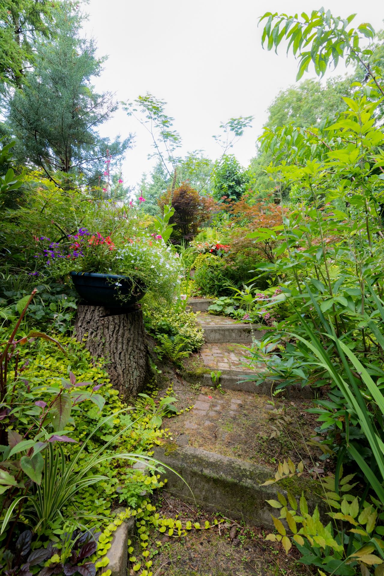 Photo 36 of Patersweg 9