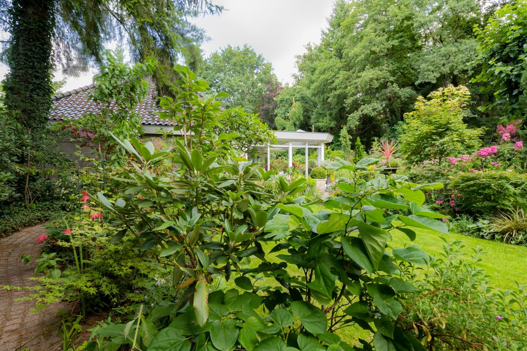 Photo 37 of Patersweg 9