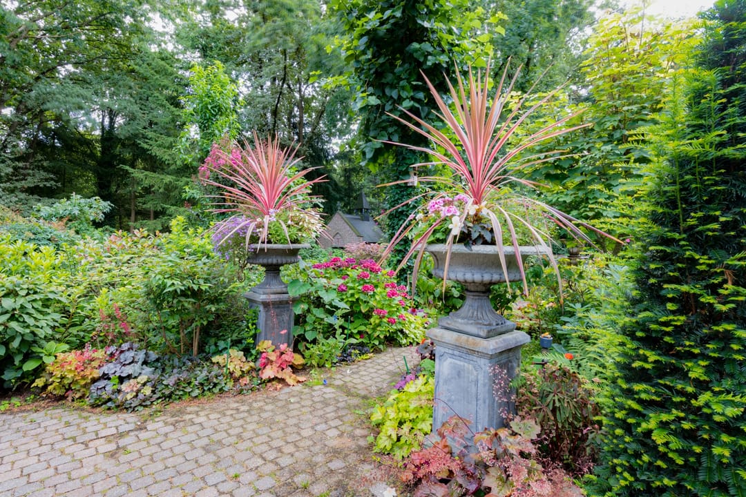 Photo 38 of Patersweg 9