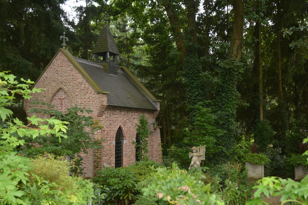 Photo 46 of Patersweg 9