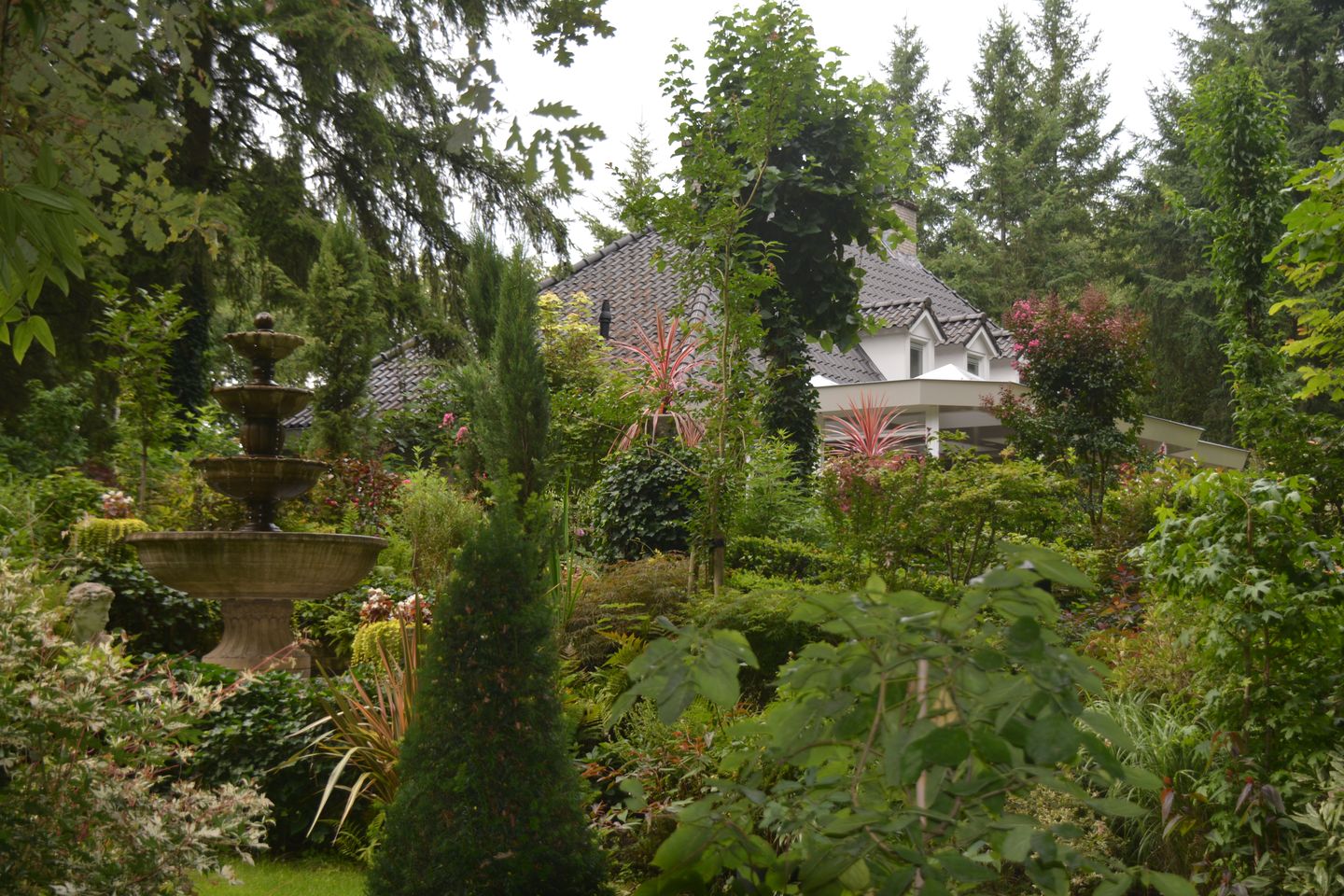 Photo 50 of Patersweg 9