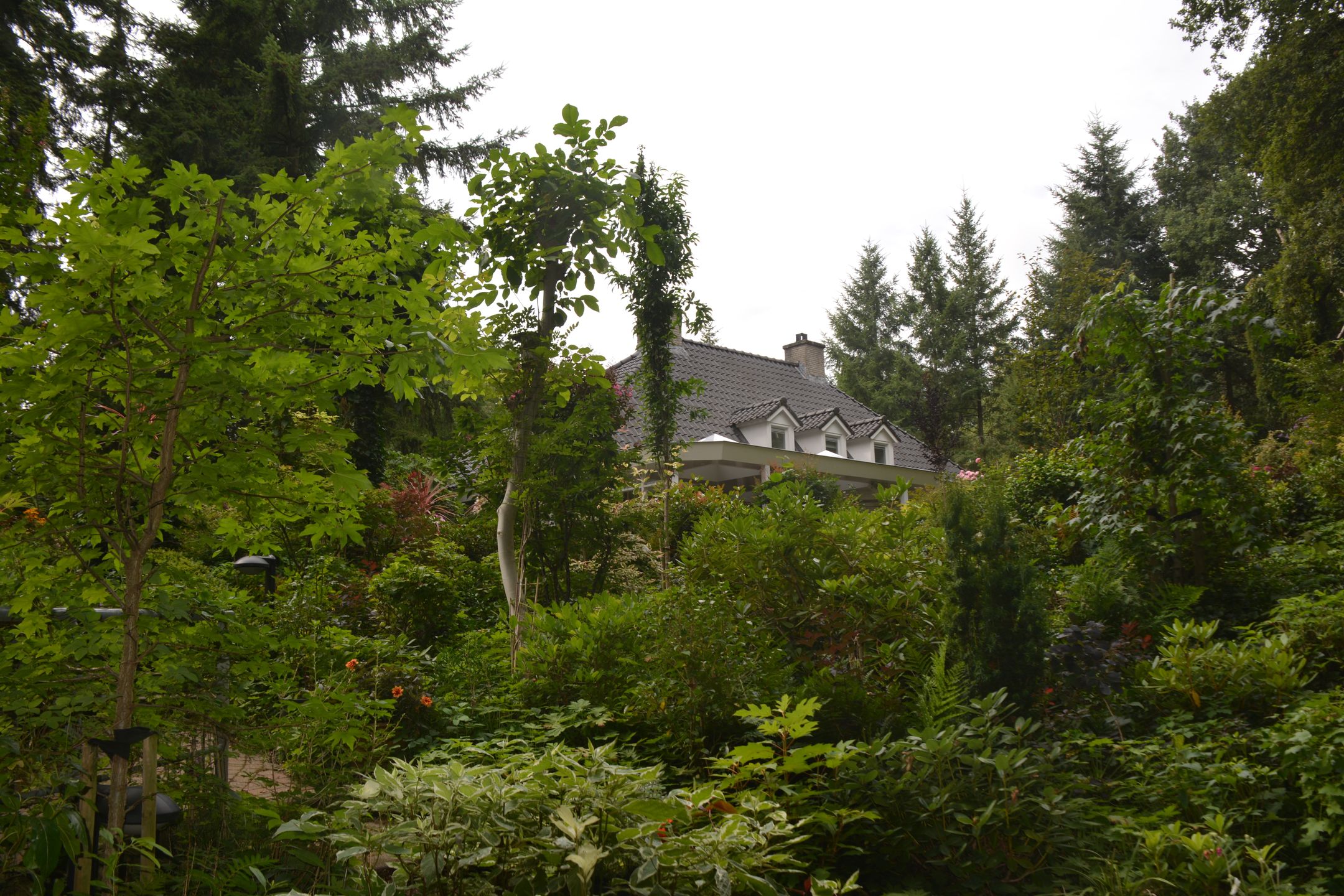 Photo 51 of Patersweg 9