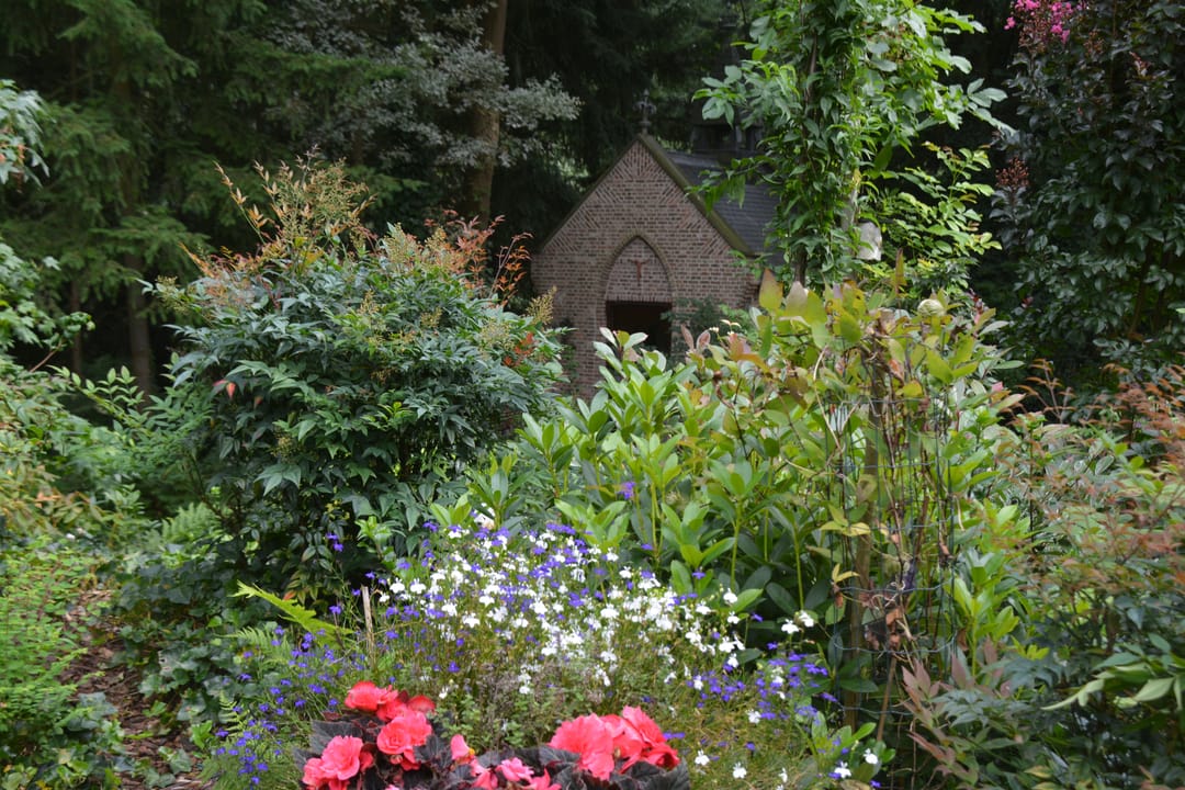 Photo 52 of Patersweg 9