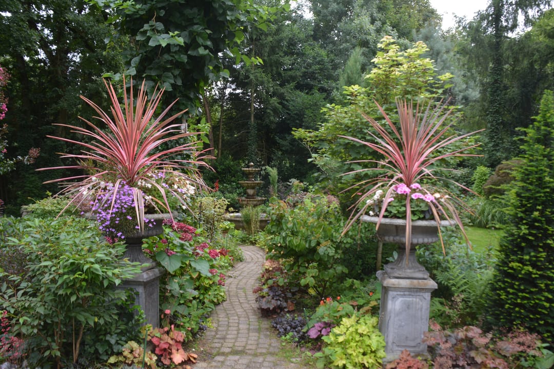 Photo 53 of Patersweg 9