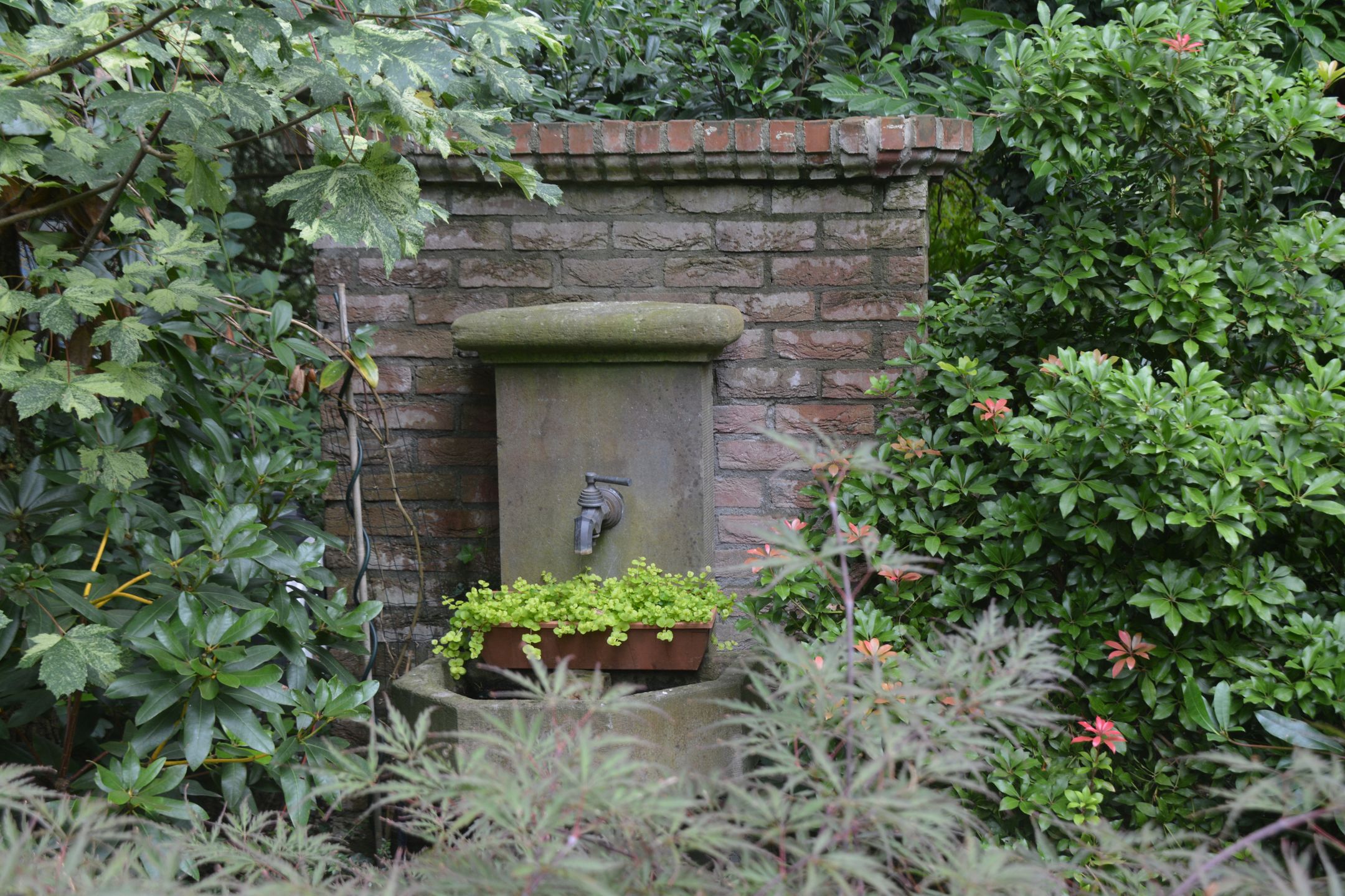 Photo 57 of Patersweg 9