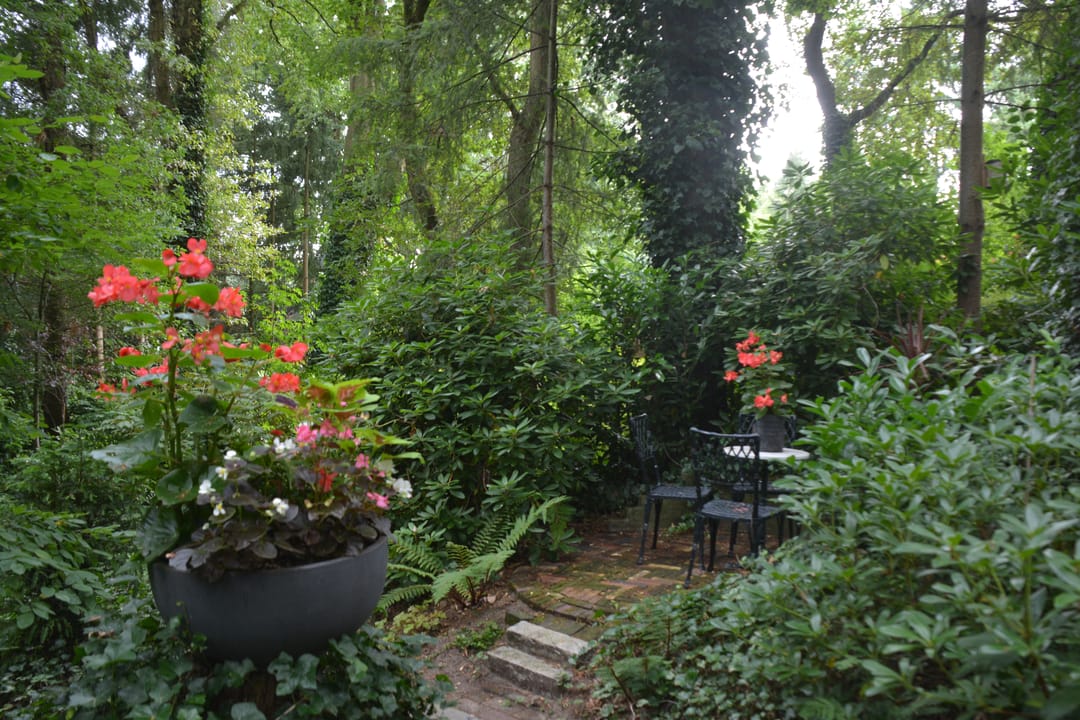 Photo 61 of Patersweg 9