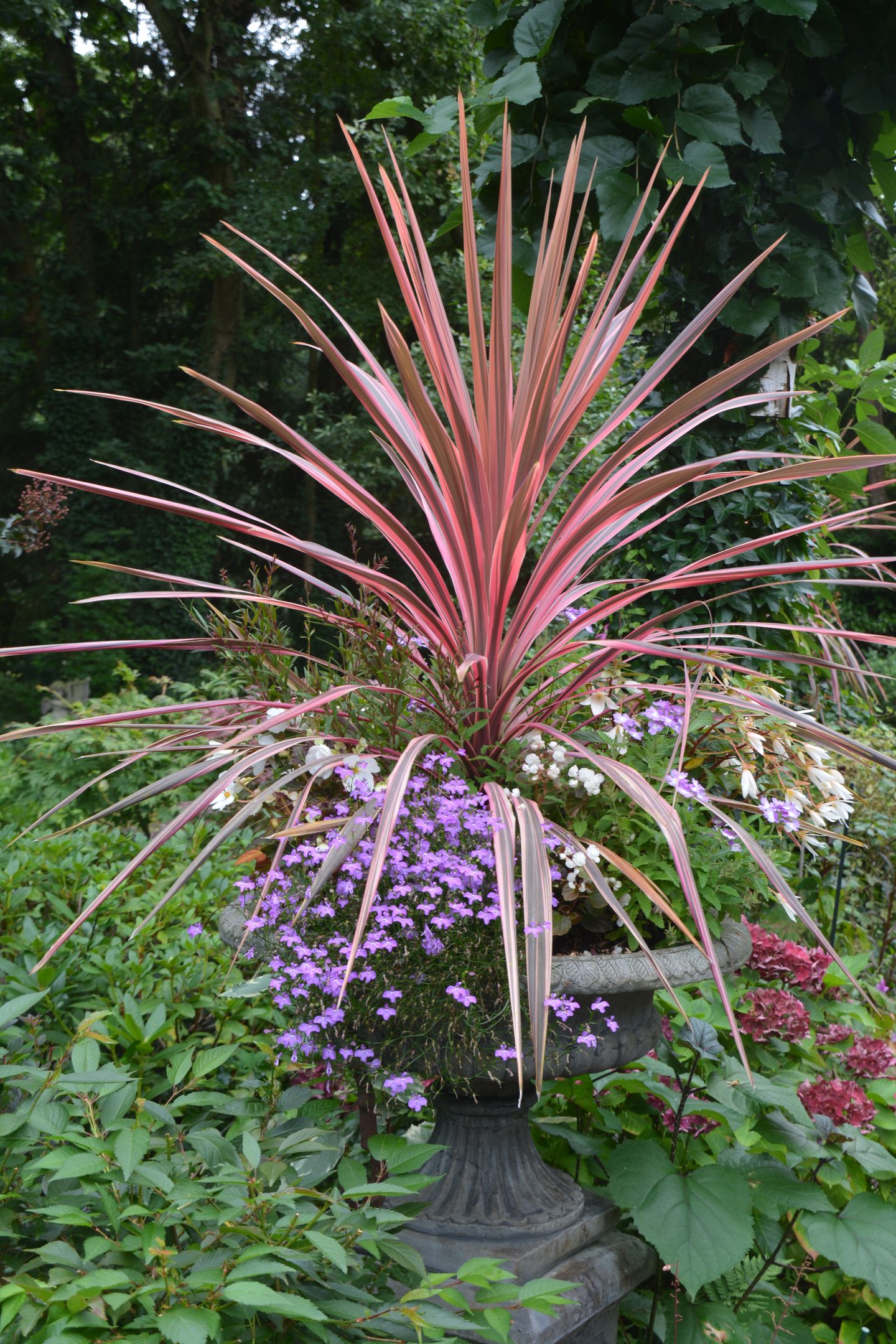 Photo 65 of Patersweg 9