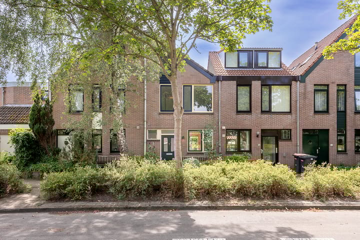 Foto 1 van Tulpenveld 38