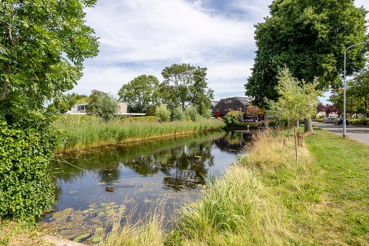 Foto 36 van Tulpenveld 38