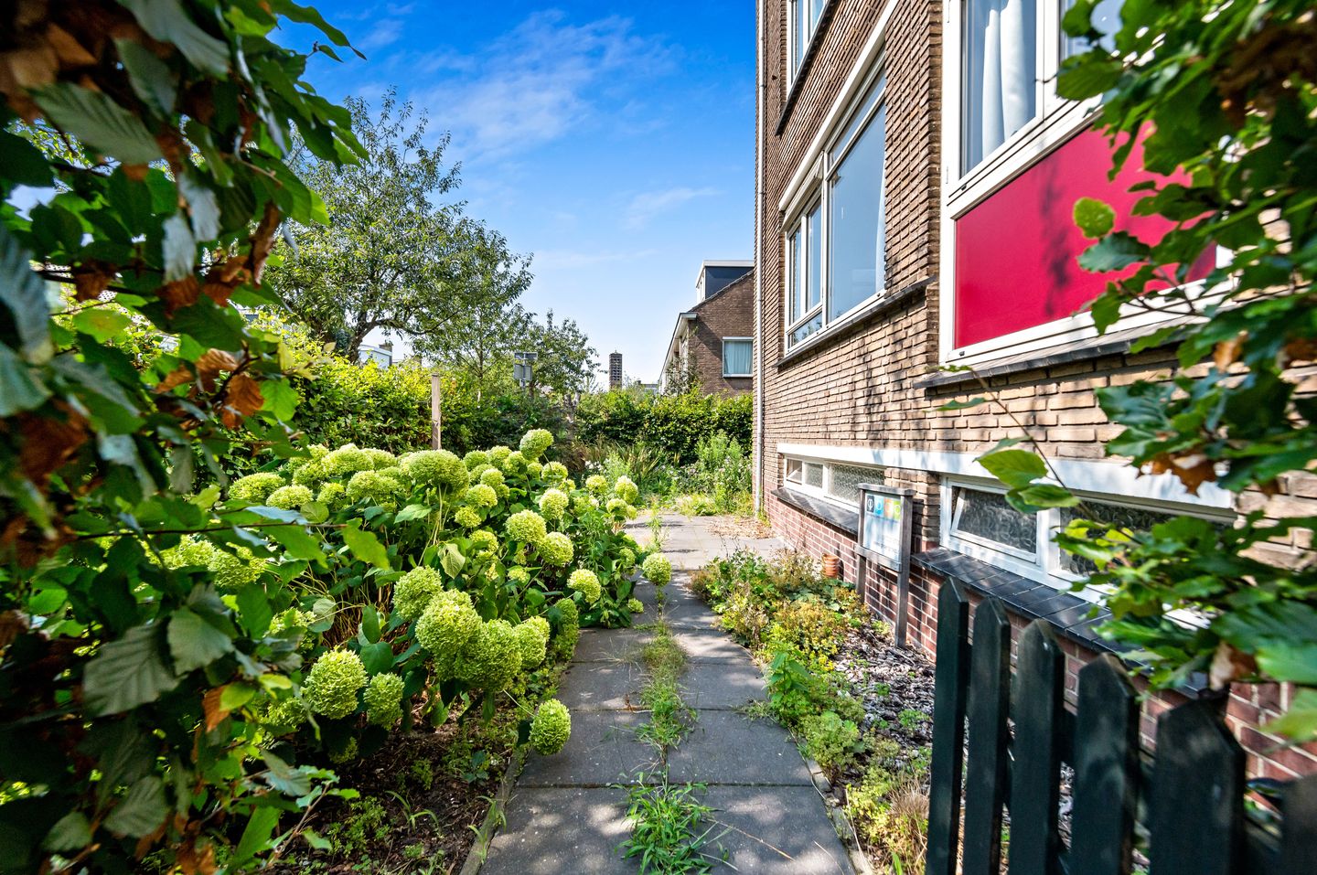 Foto 35 van Paulinastraat 38