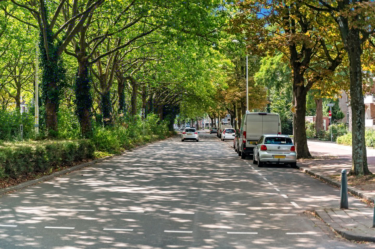 Foto 44 van Paulinastraat 38