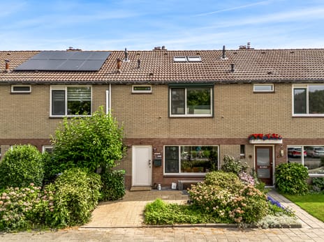 undefined main image