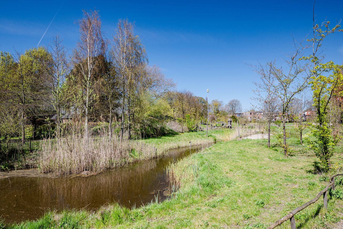 Photo 50 of Jan Haringstraat 10