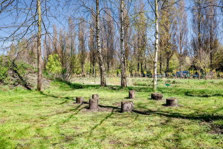 Foto 51 van Jan Haringstraat 10