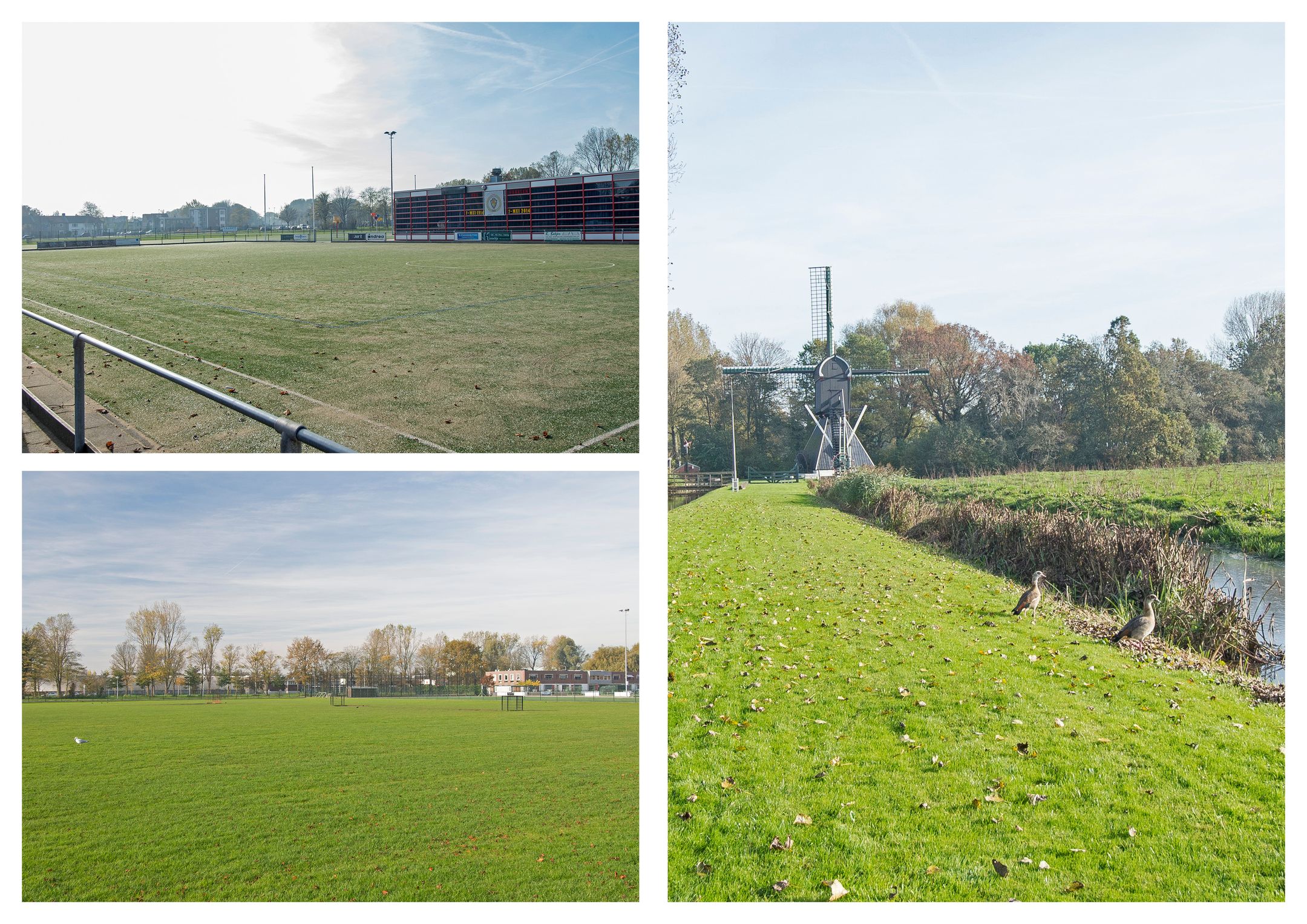 Photo 60 of Jan Haringstraat 10