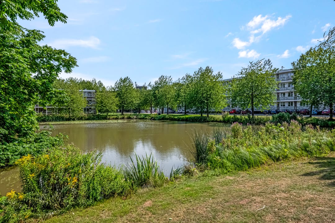 Foto 22 van Thorbeckestraat 266