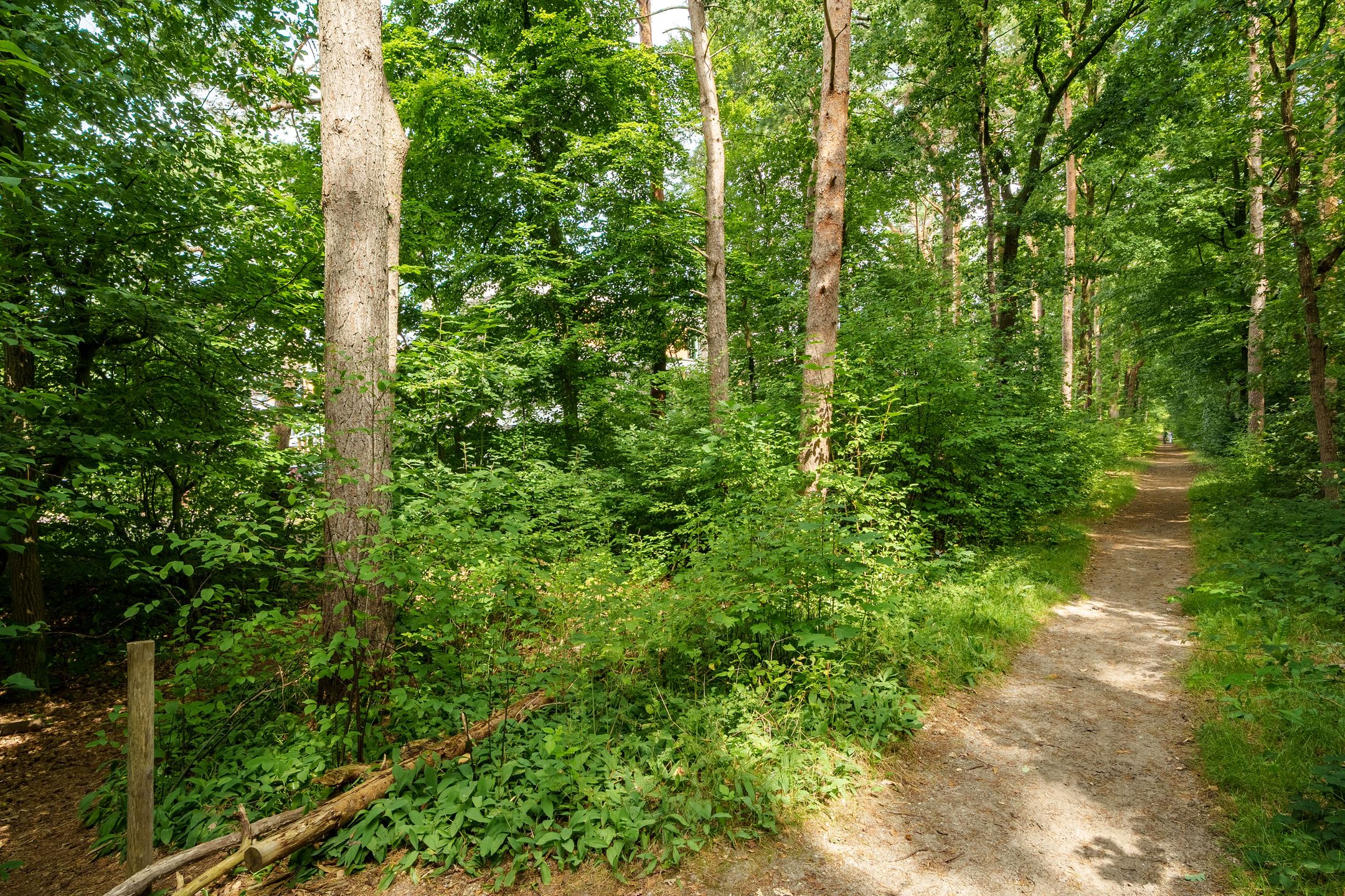 Photo 24 of Prinses Catharina Amalialaan 147