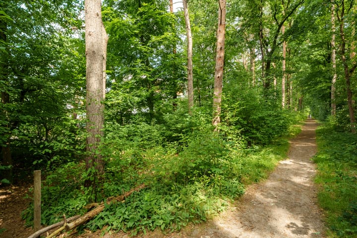 Foto 24 van Prinses Catharina Amalialaan 147