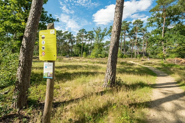 Foto 25 van Prinses Catharina Amalialaan 147