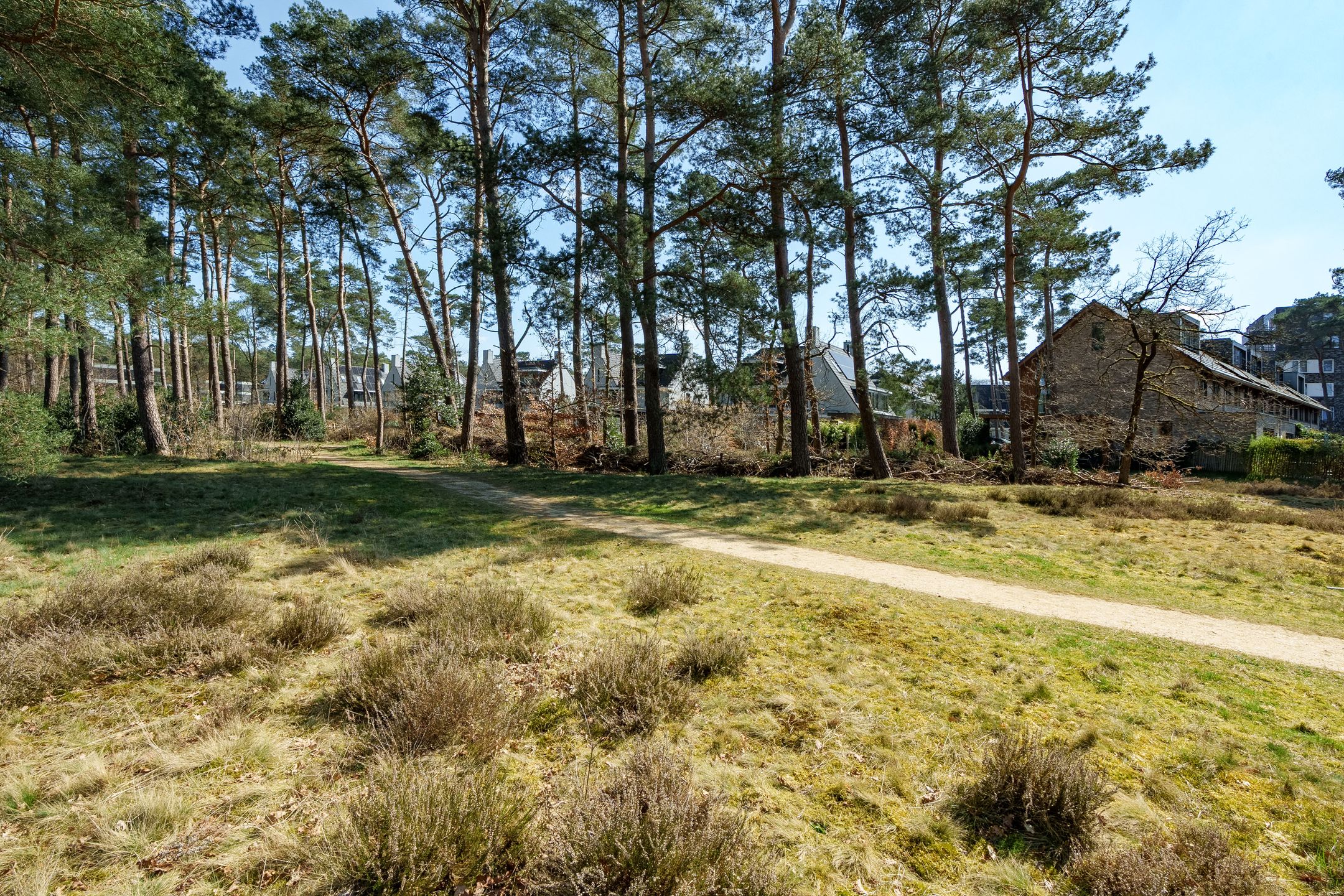 Photo 27 of Prinses Catharina Amalialaan 147