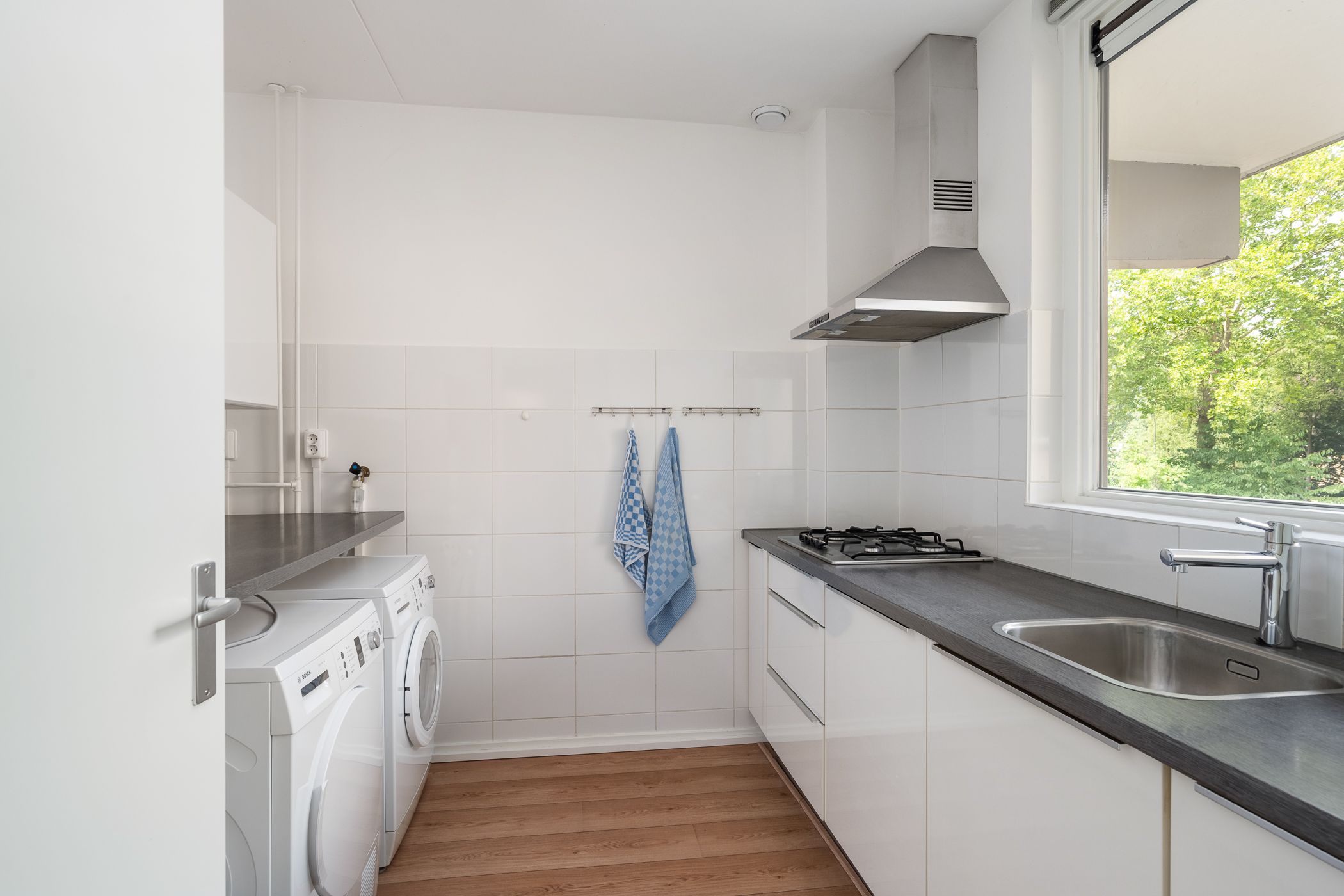 Foto 9 van Campanula 52