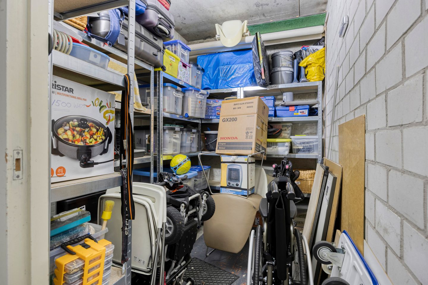 Foto 19 van Campanula 52