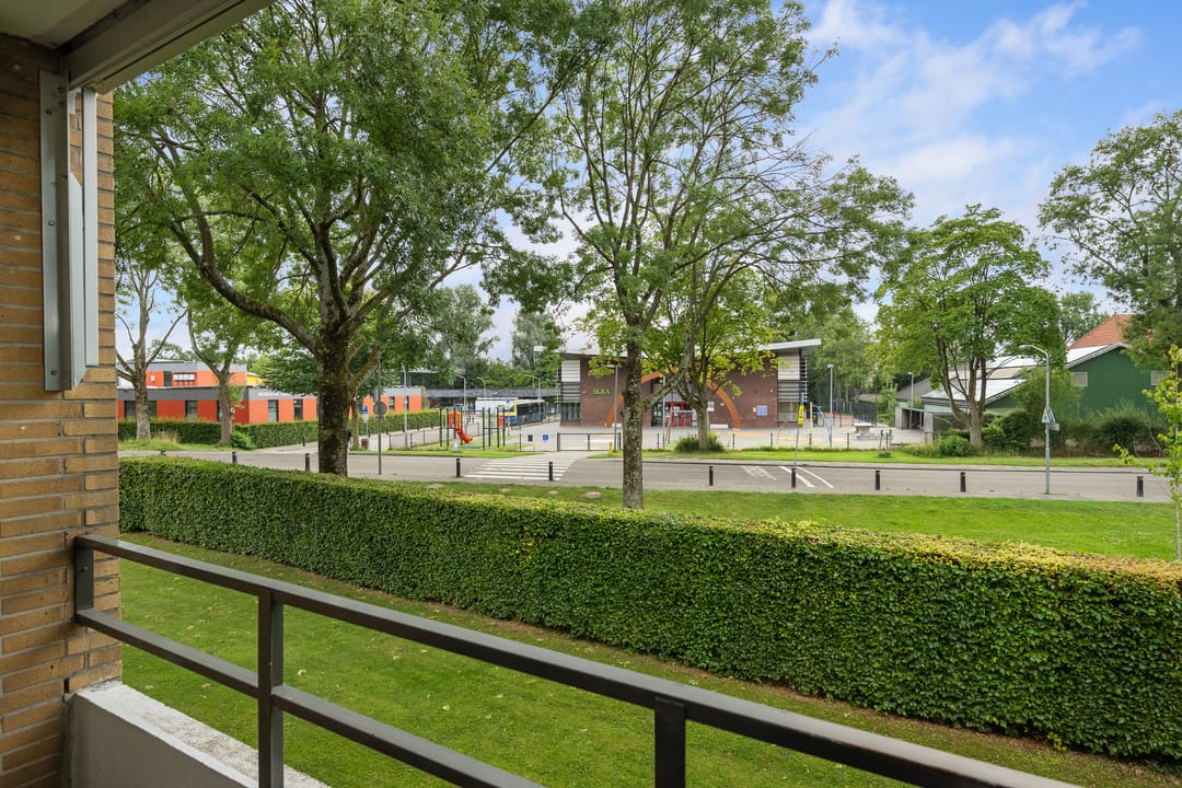 Foto 23 van Campanula 52