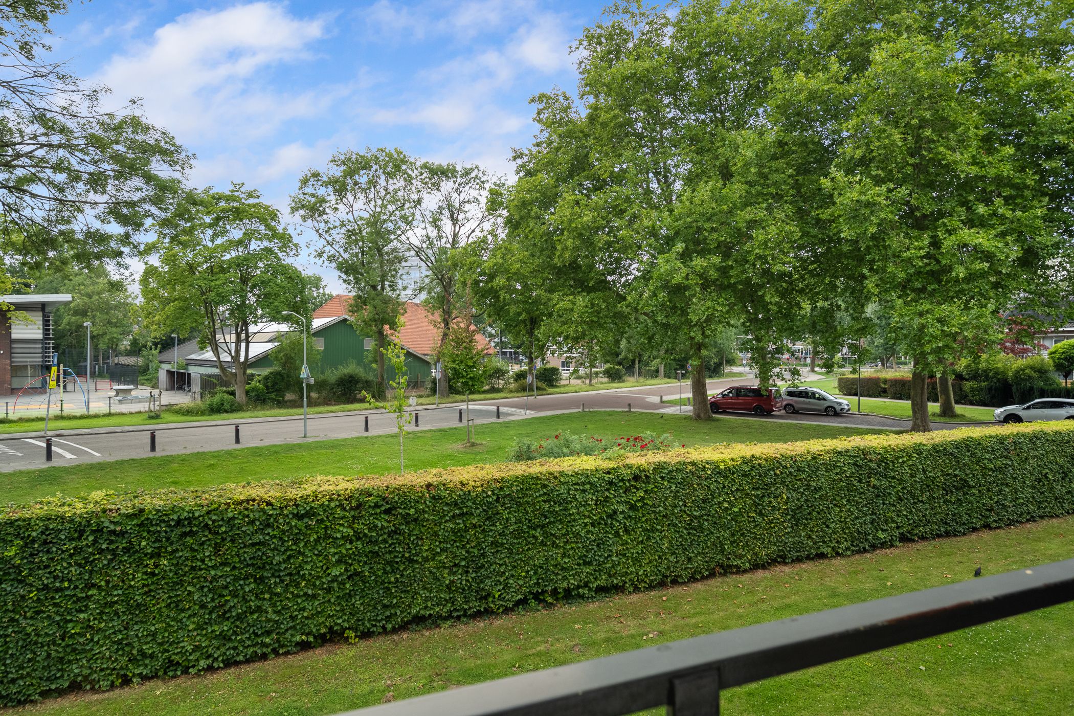 Foto 24 van Campanula 52