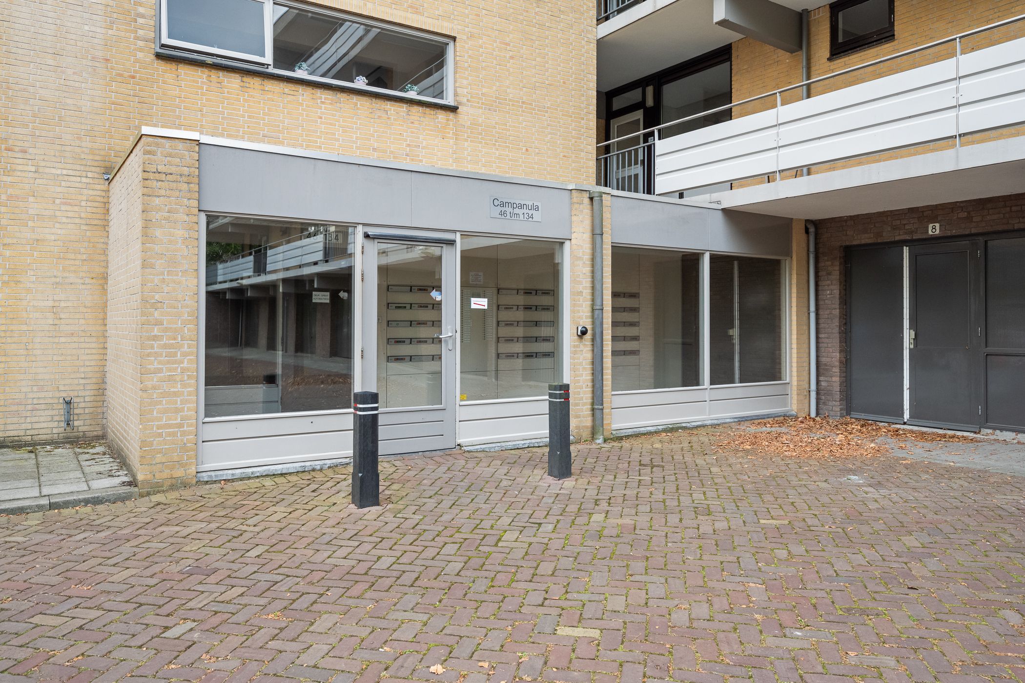 Foto 27 van Campanula 52