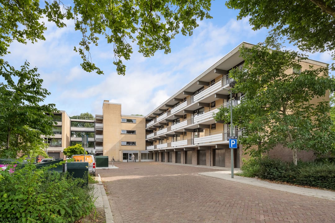 Foto 28 van Campanula 52