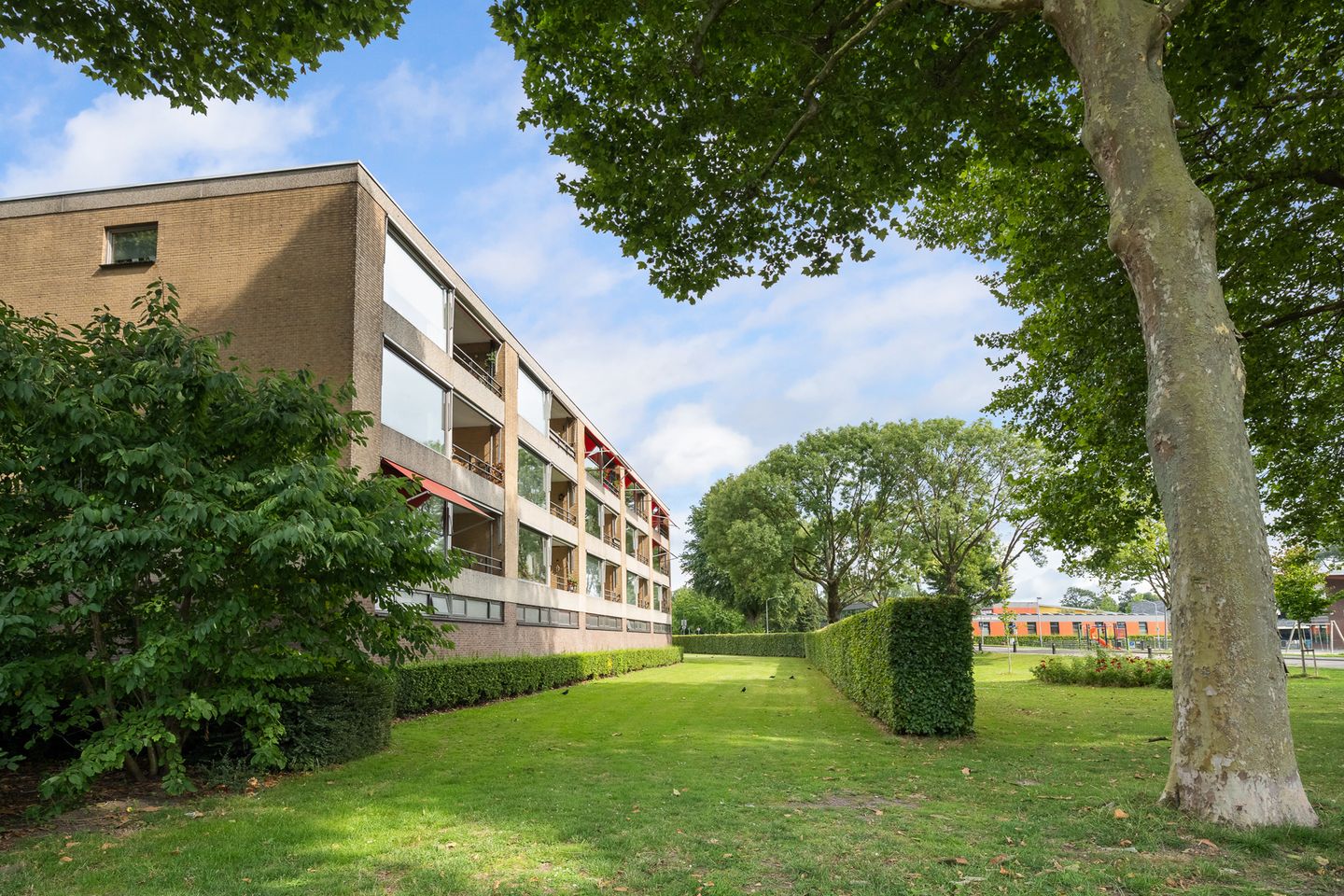 Foto 29 van Campanula 52