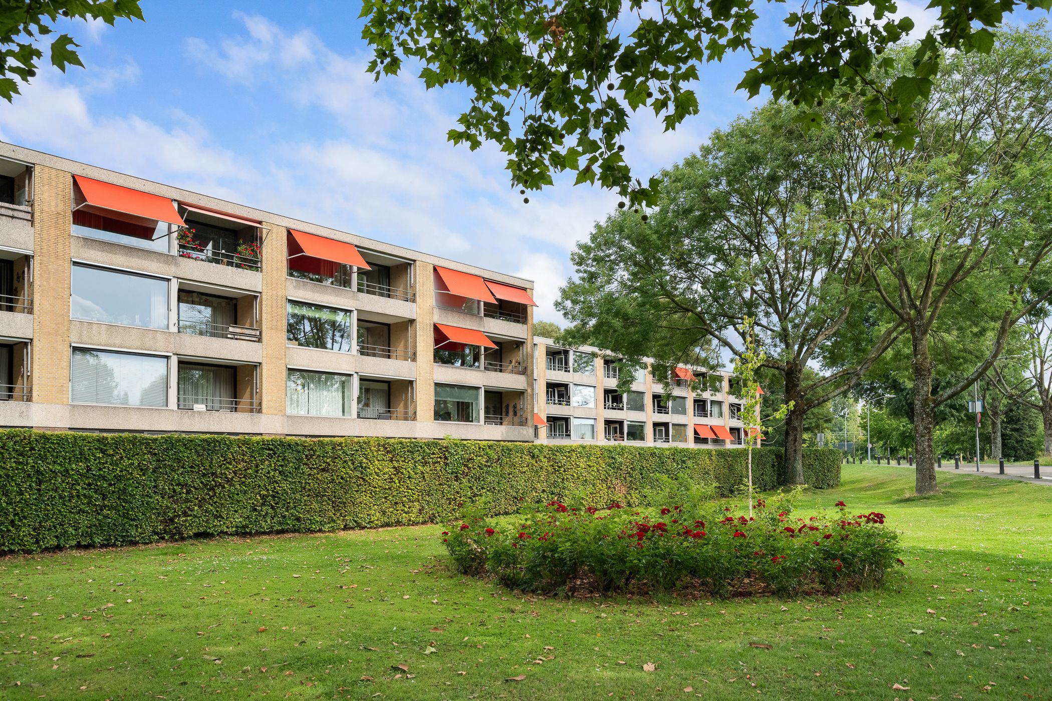 Foto 30 van Campanula 52