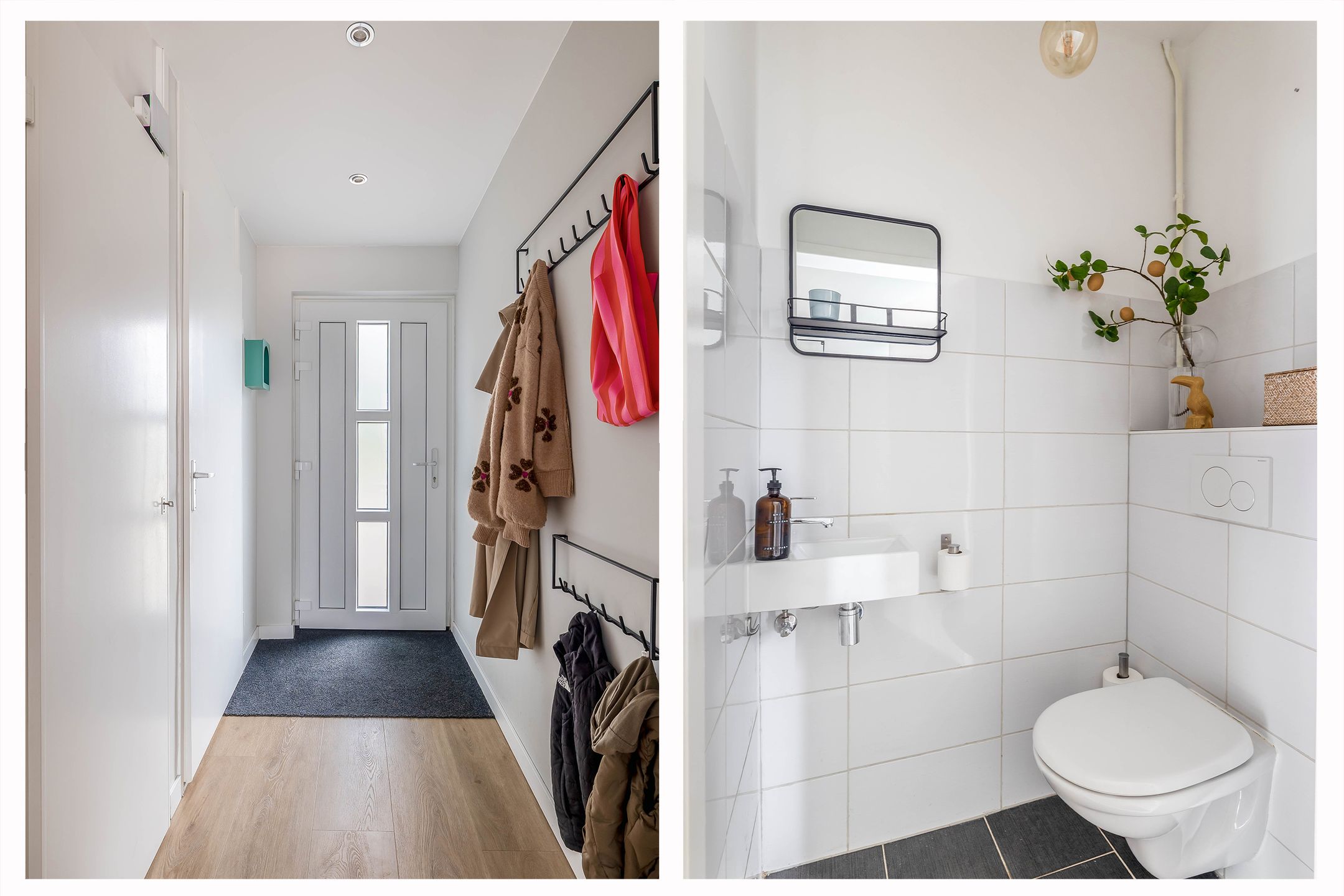 Photo 9 of Groenland 3