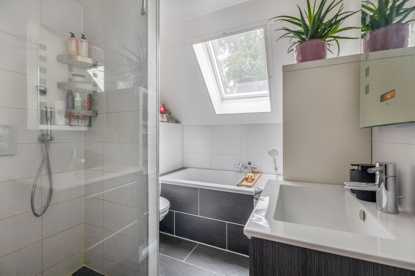 Photo 25 of Groenland 3