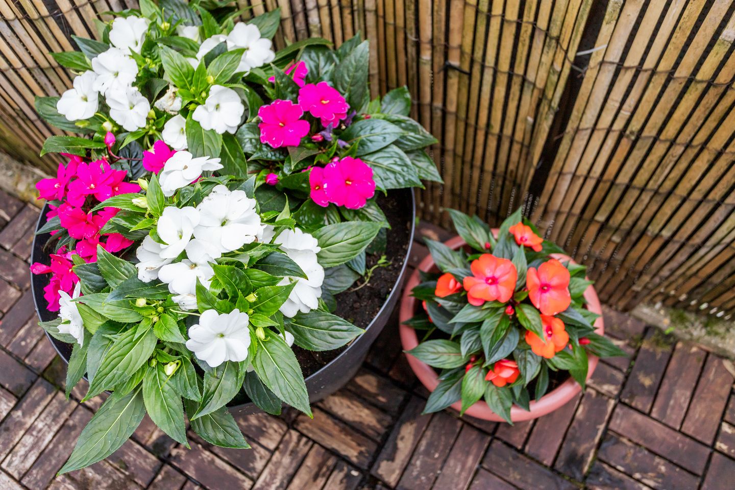 Photo 44 of Burgemeester van Tuyllkade 23-BS