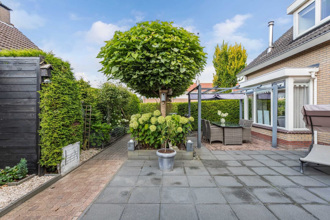 Photo 53 of De Foreest 3