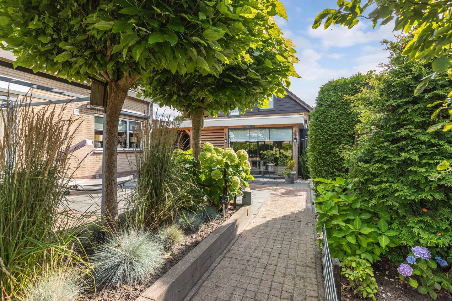 Photo 55 of De Foreest 3