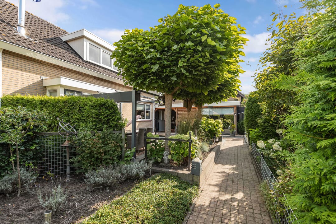 Photo 56 of De Foreest 3