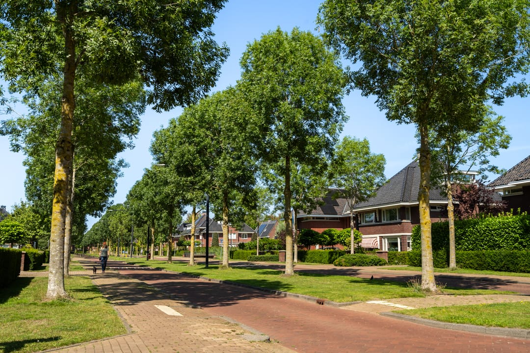 Photo 2 of Romanovhof 41