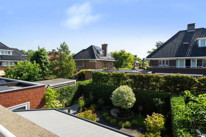 Foto 33 van Romanovhof 41