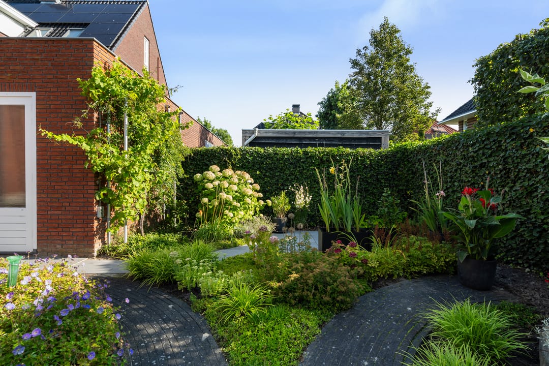 Photo 43 of Romanovhof 41