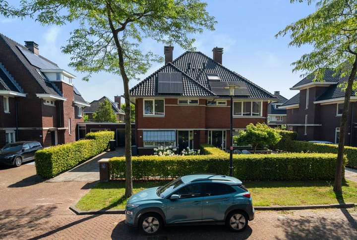 Foto 47 van Romanovhof 41